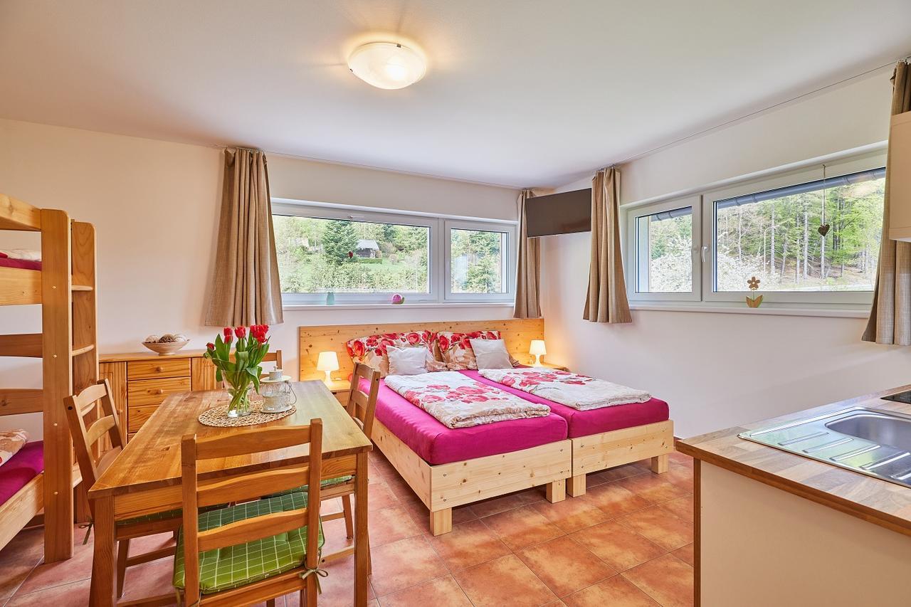 Skipension Janské Lázně Esterno foto